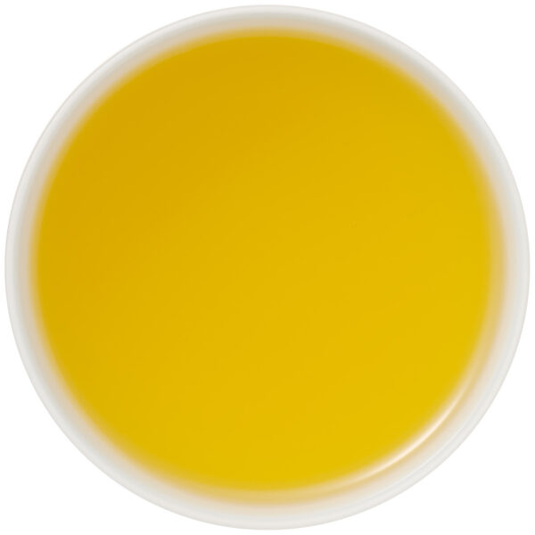 Sinas Gember Sencha - Afbeelding 2