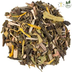 Nofretetea