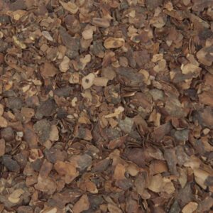 Cacaoschillen