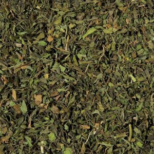 Spearmint