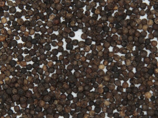 Zwarte peper